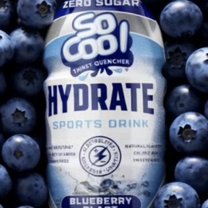 So Cool Blueberry Blast 20 FL OZ (pack of 4)